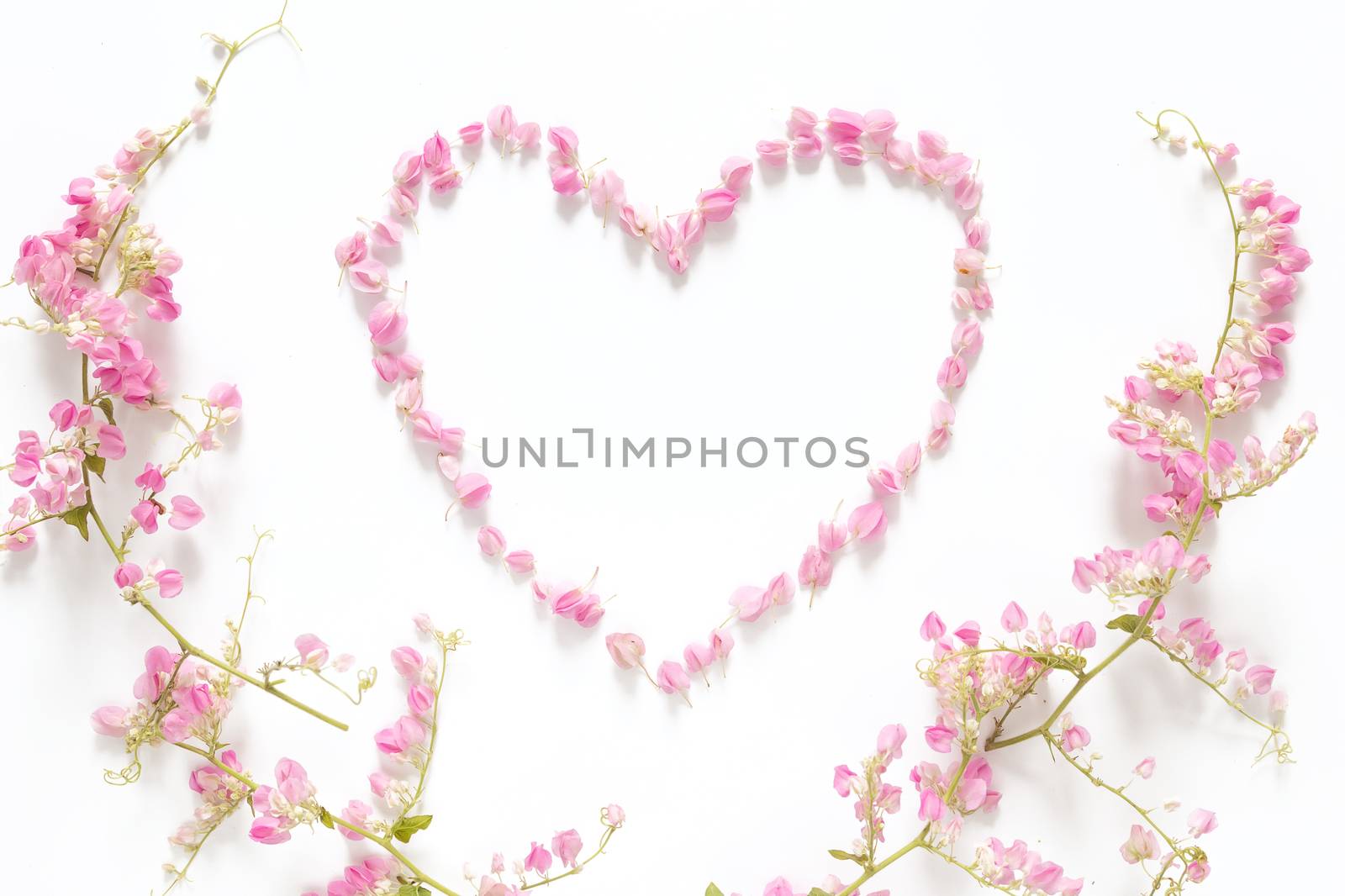 flat lay of floral heart made from pink flowers isolated on white background with pink flower border frame, top view. flower creative composition by asiandelight