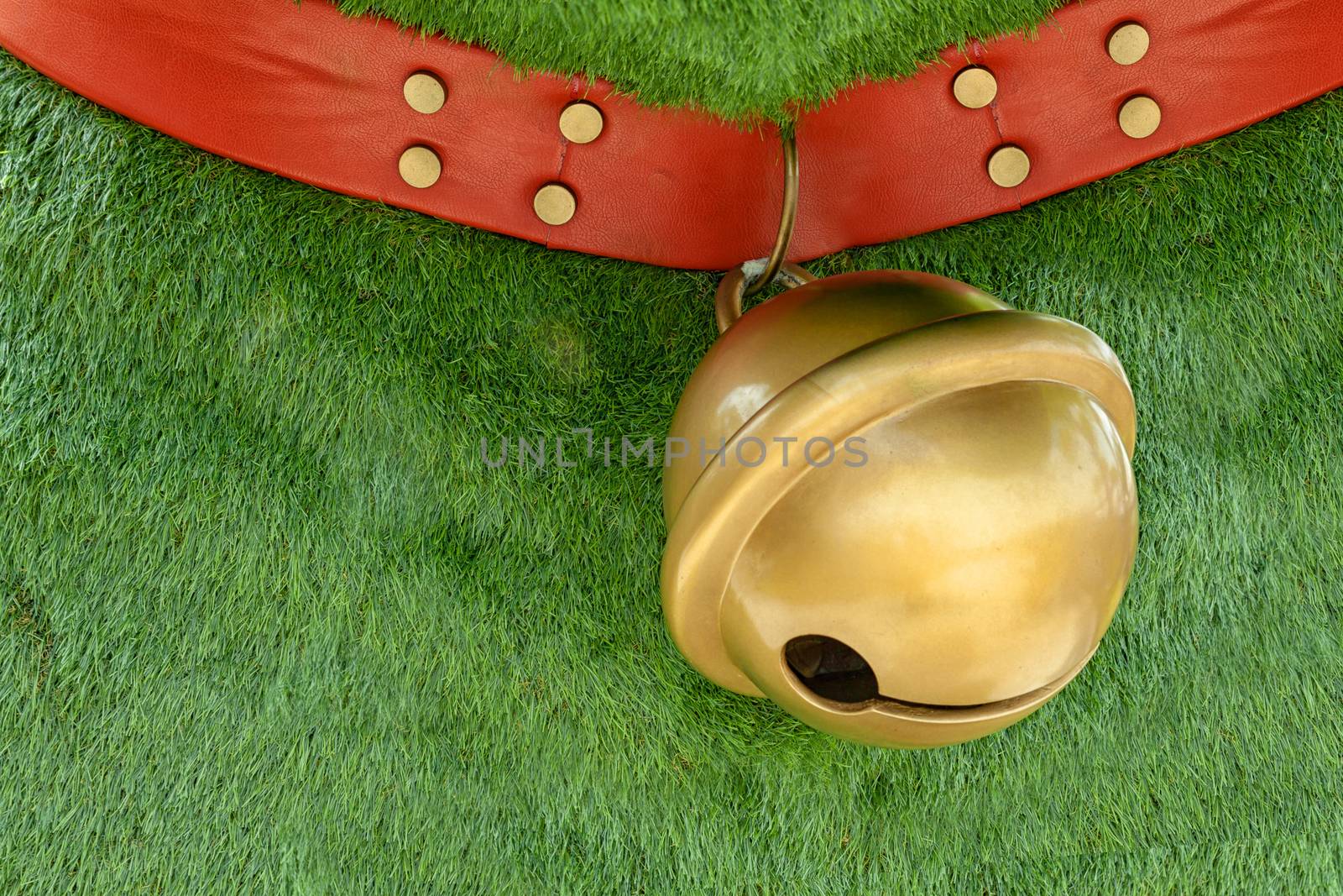 red dog collar made from leather decorate with pins hanging big golden bell on green grass background with copy space