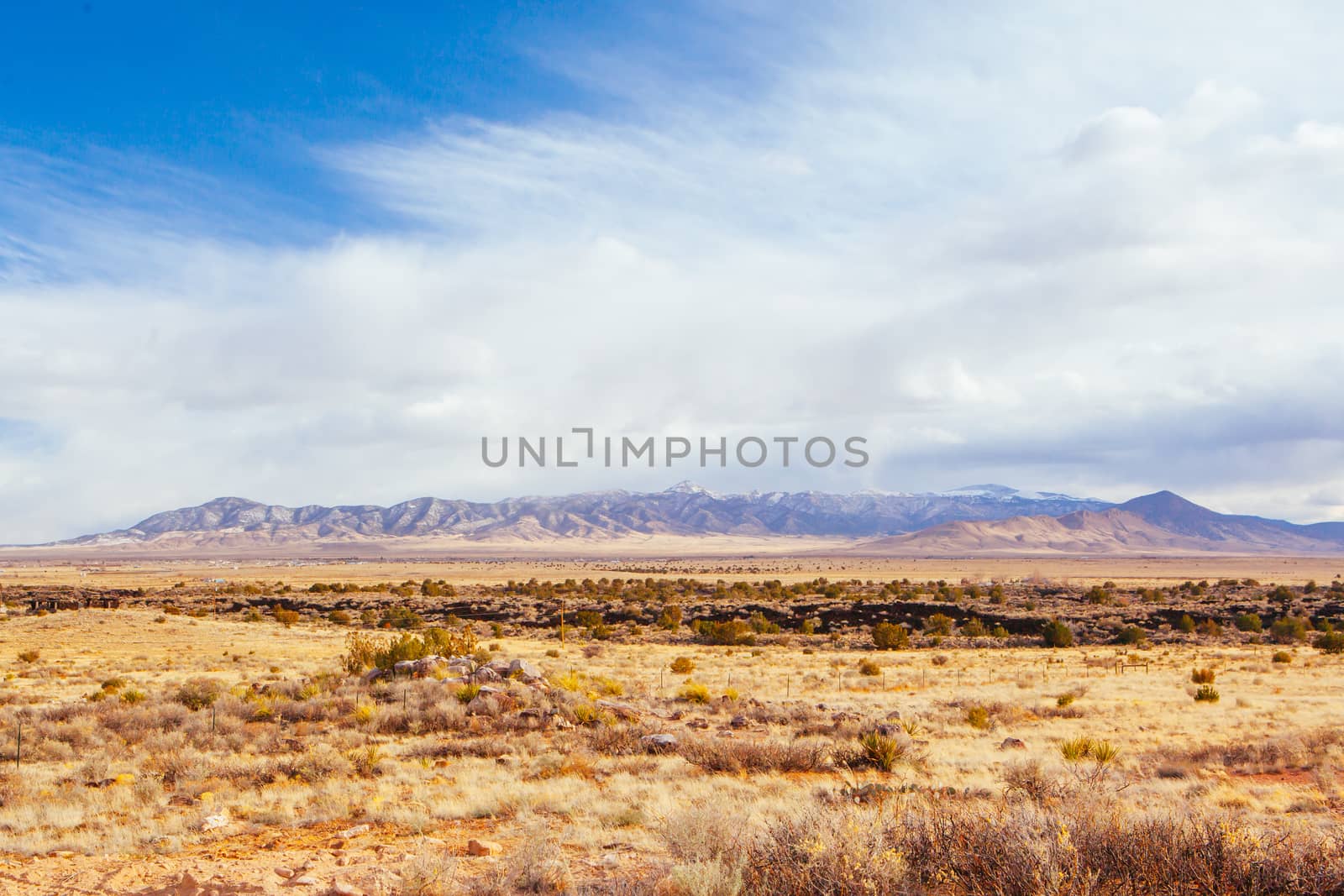 Sparse desert like landscape in New Mexico, USA