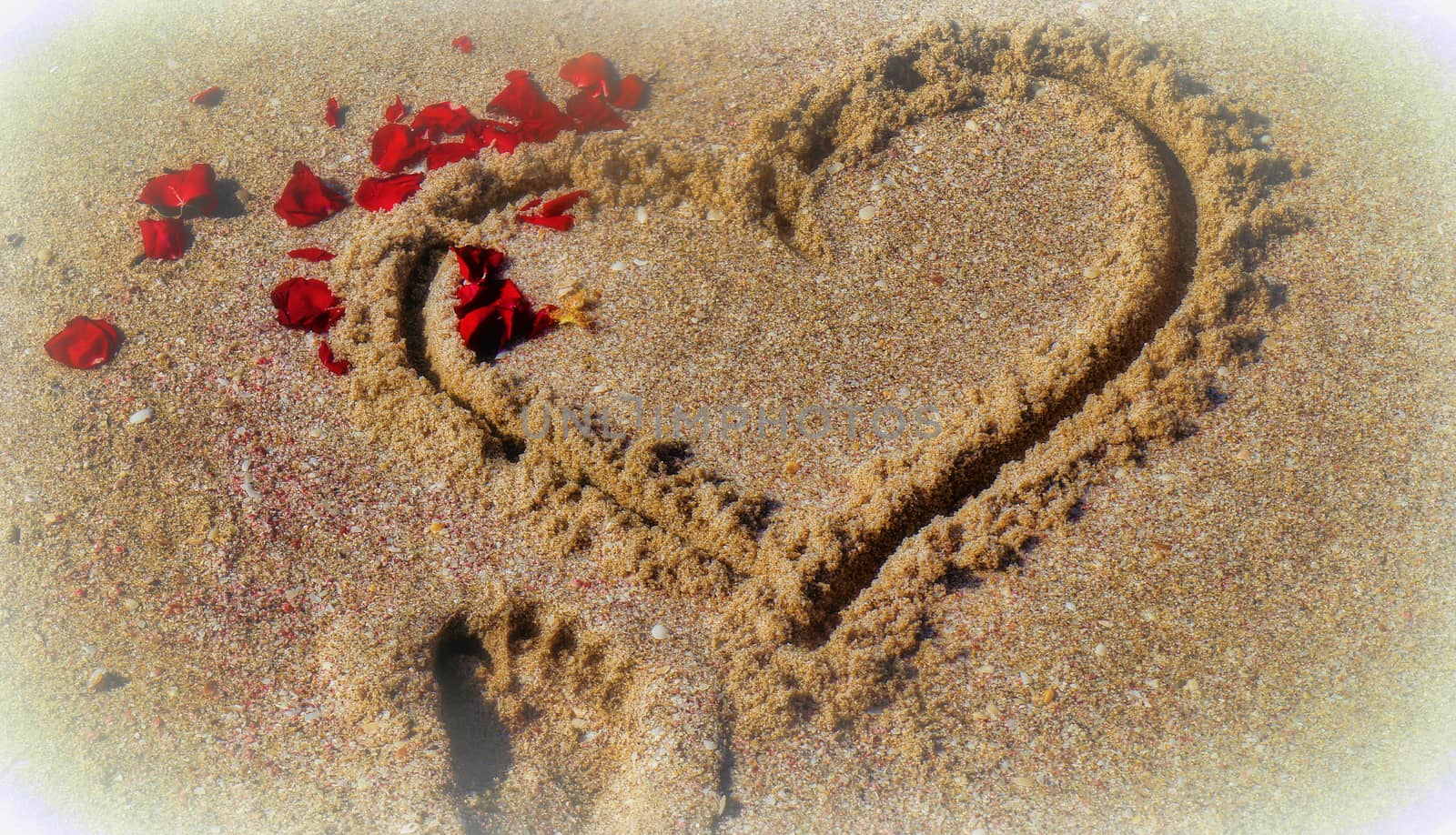 In the sand painted heart with scattered sheets of a rose and a small footprint