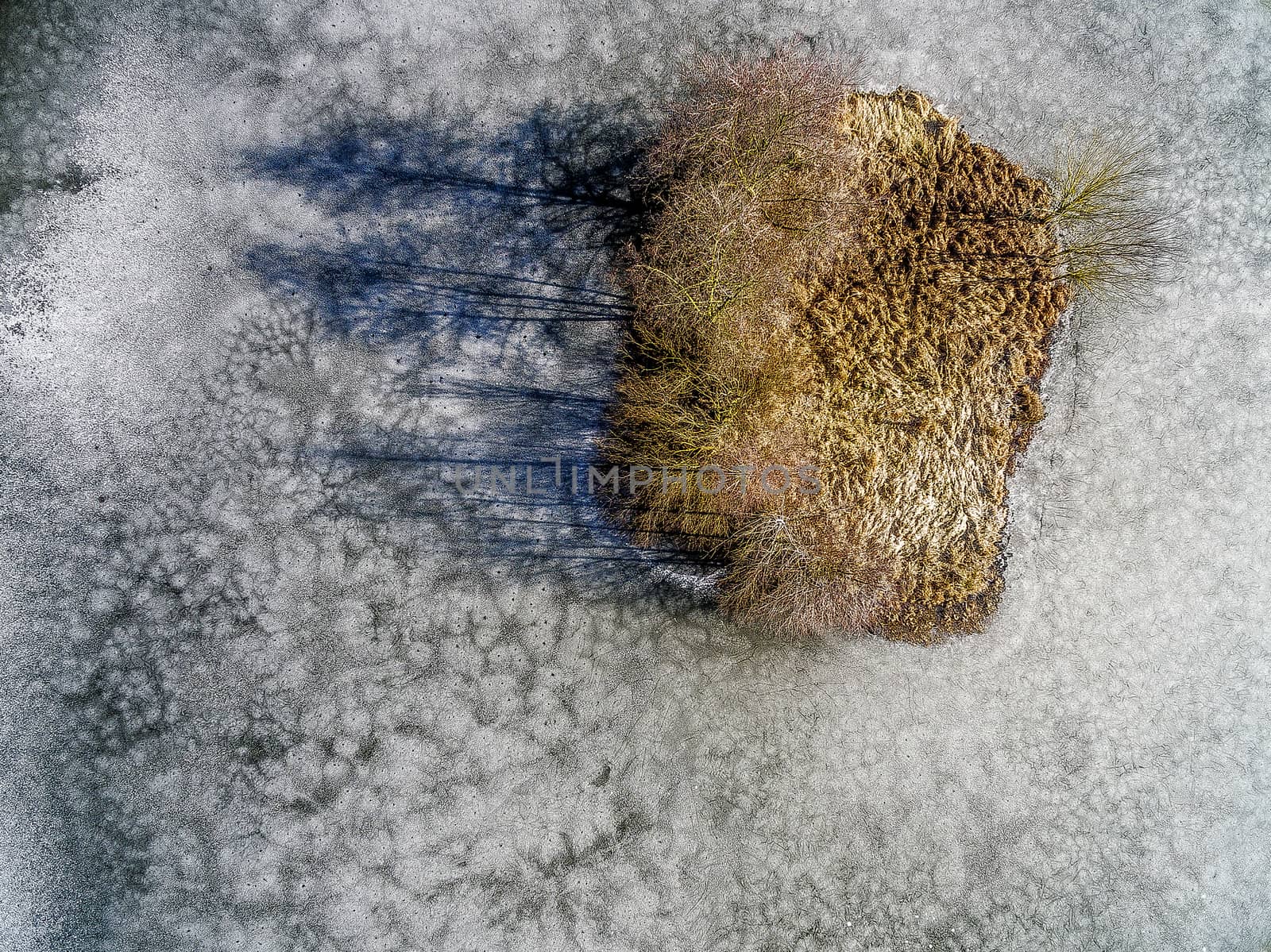 small island in winter on an icebound lake with beginning thaw, aerial view by a drone