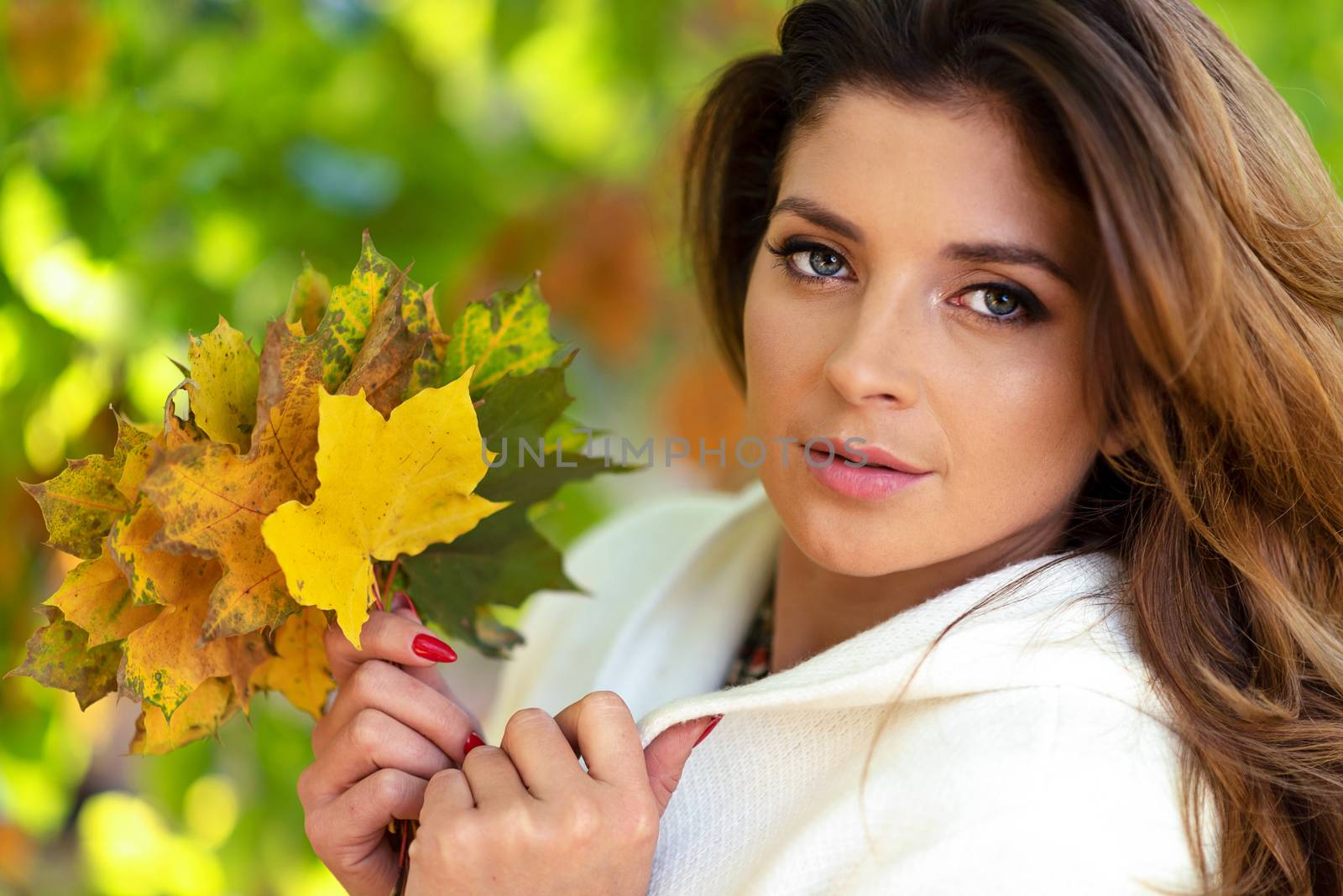 Portrait of a beautiful and lovely young woman holding fallen leaves on a blurred background of the autumn park on a sunny day.