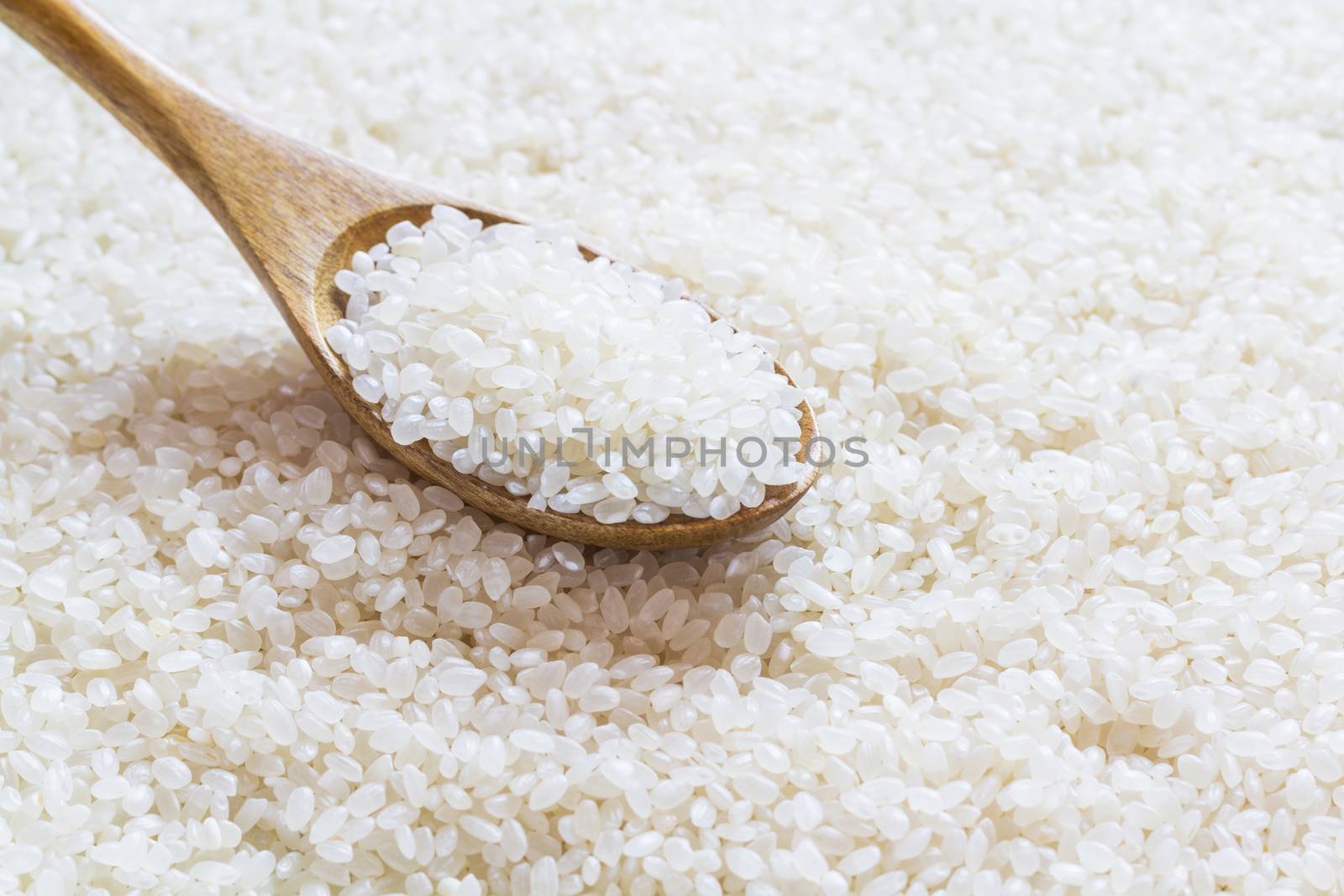 White rice on wooden spoon, japanese rice, short grain rice