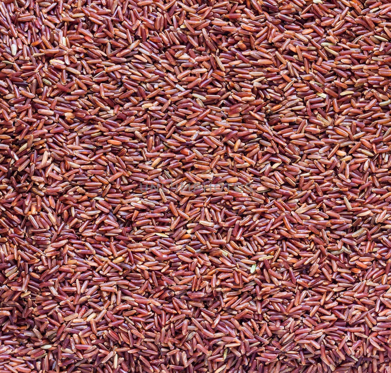 Group of organic brown rice as background