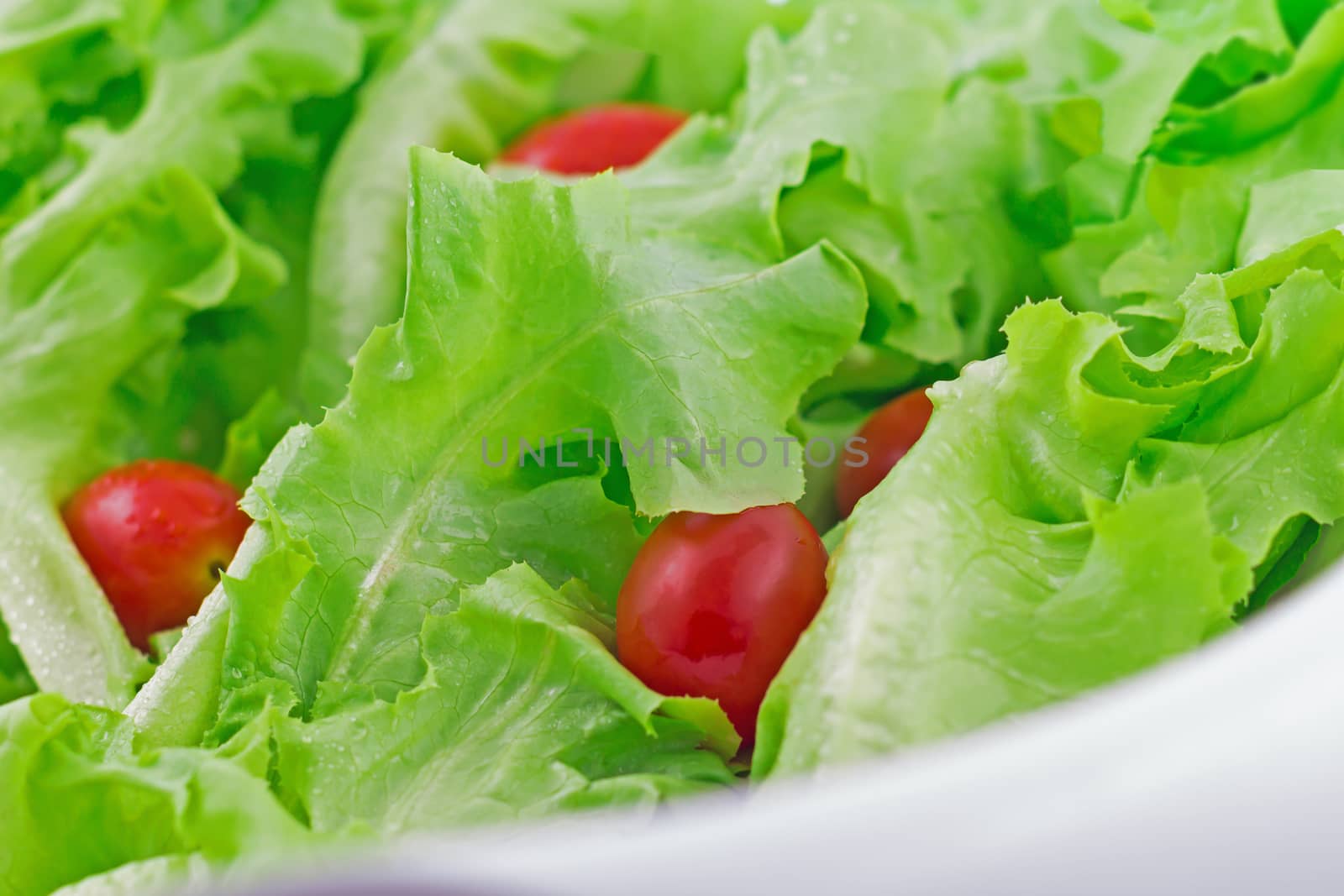 Close up fresh vegetable salad, lettuce and cherry tomato, diet concept 