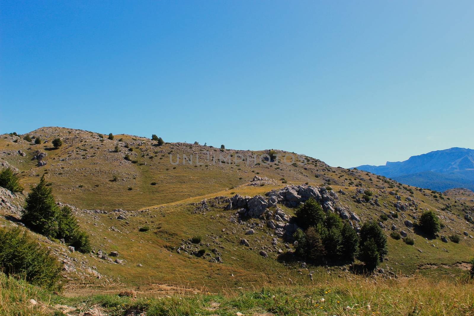 Mountain hill, karst, grass, trees and mountain spikes in distance.. Bjelasnica Mountain. by mahirrov