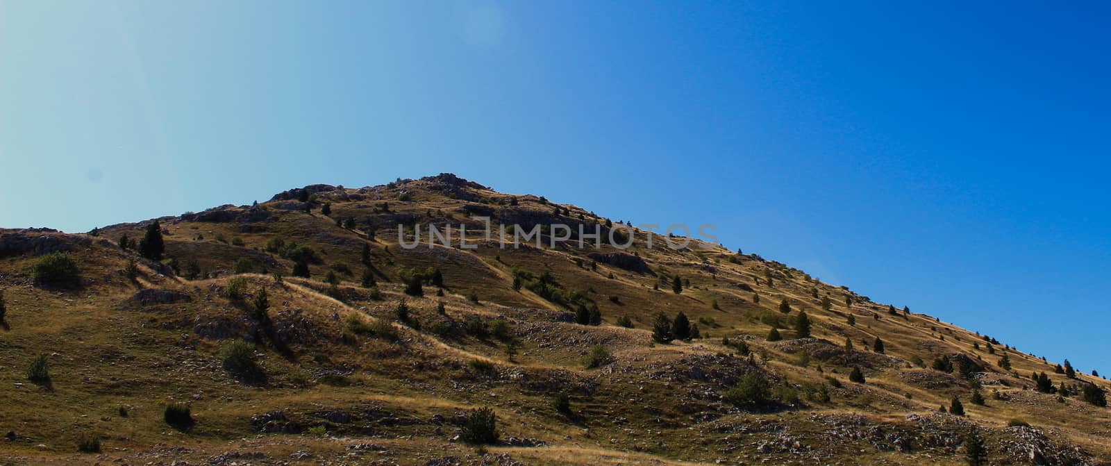 Banner of a wavy hill with planted conifers with a lot of stones. Hill on Bjelasnica mountain, Bosnia and Herzegovina.