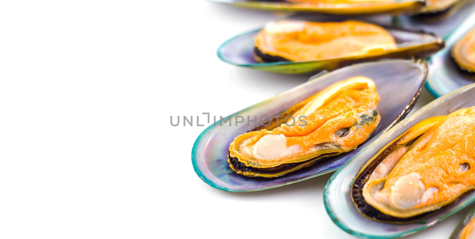 Fresh green shell mussel on white background, seafood product, food ingredient