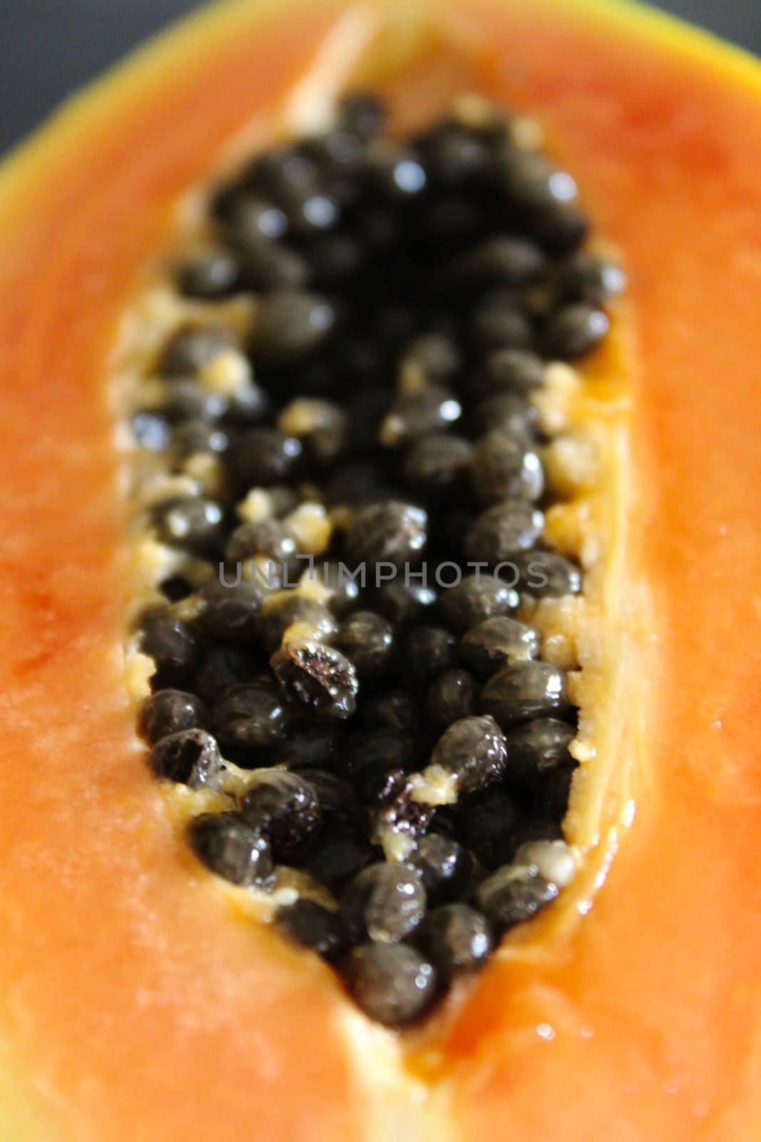 Seeds inside one half of a papaya fruit. by mahirrov