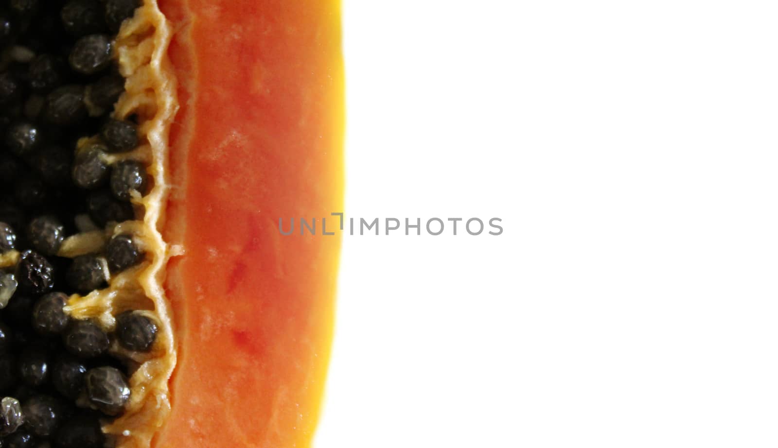 Papaya fruit banner with white background. by mahirrov