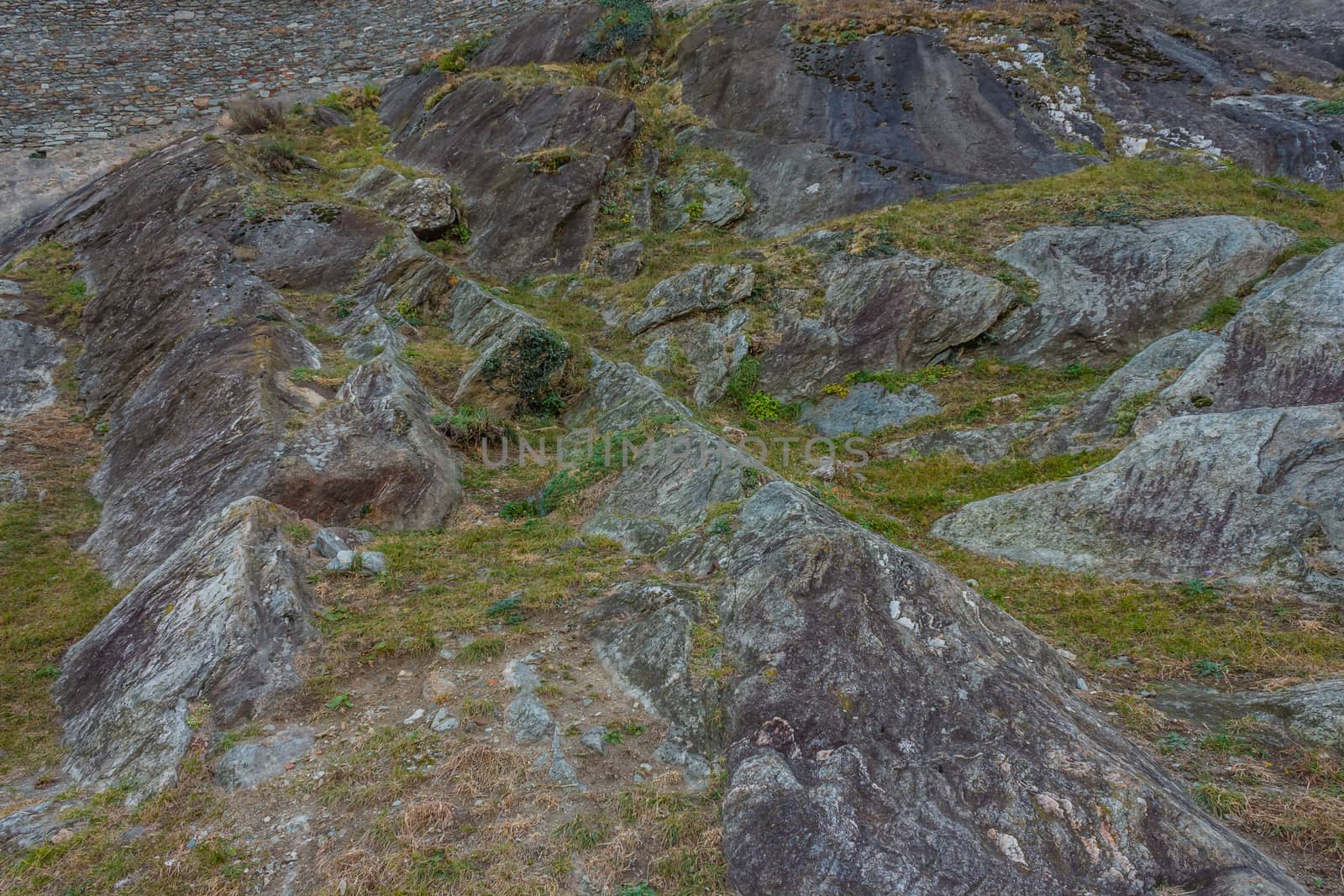 sheepback-shaped rocks of a Balteo Glacier,in Aosta Valley,Italy  because are eroded by glacier by moorea