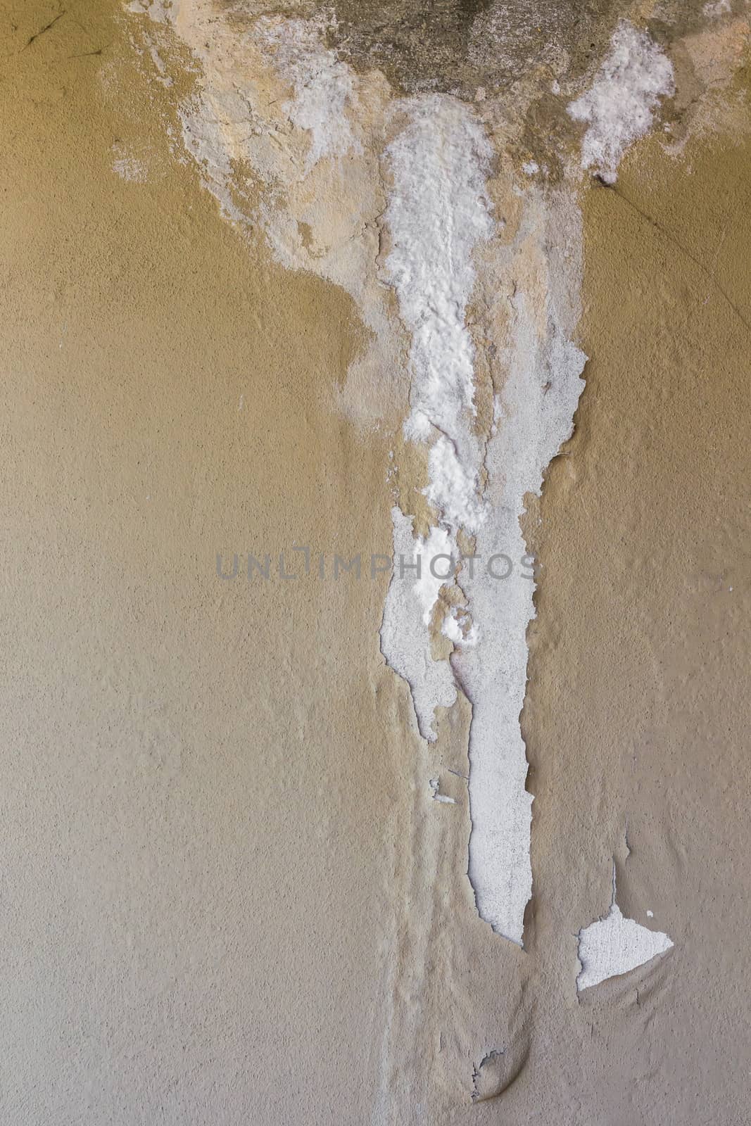 Old peeled wall with mold. Vintage background.