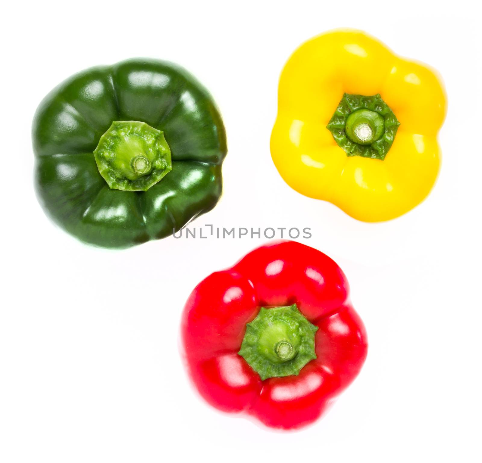 Three peppers in red yellow and green by germanopoli