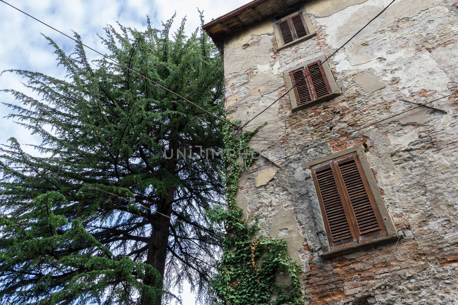 Ancient house with tree by germanopoli