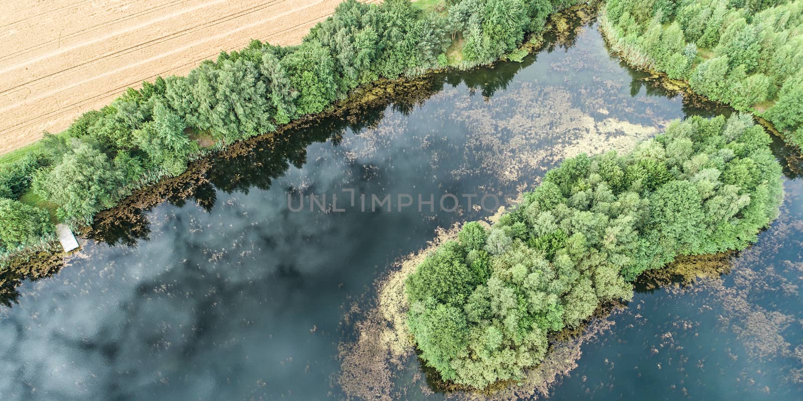 Aerial photo of an island in the pond, at an angle from above