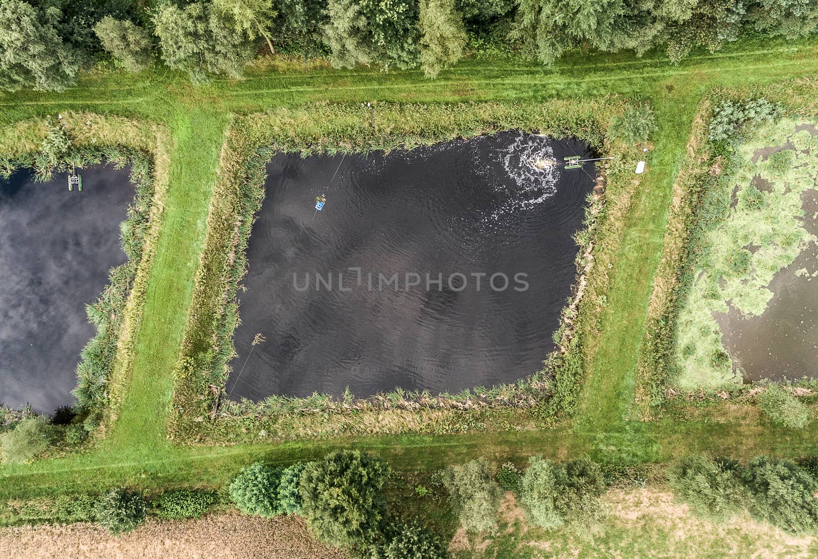 Pond of a pisciculture, aerial photo vertically from above by geogif