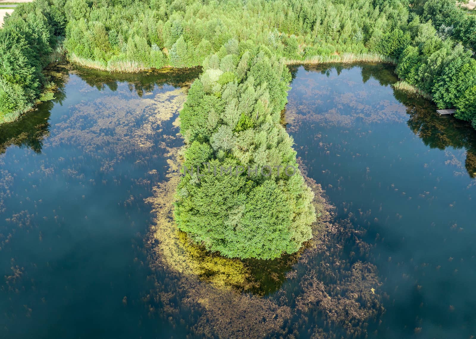 Aerial photo of an island in the pond, from the front and from a by geogif