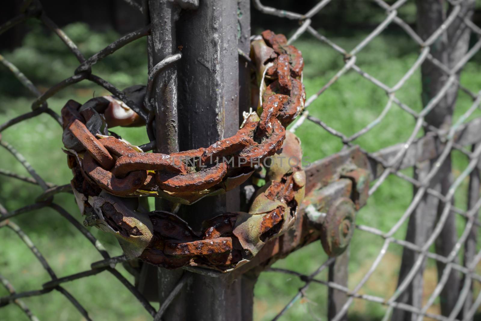 Rusty chain used to close a fence.