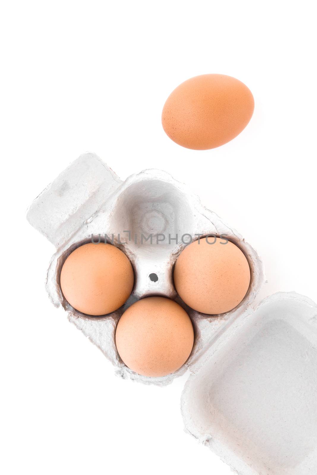 Cardboard egg carton by germanopoli