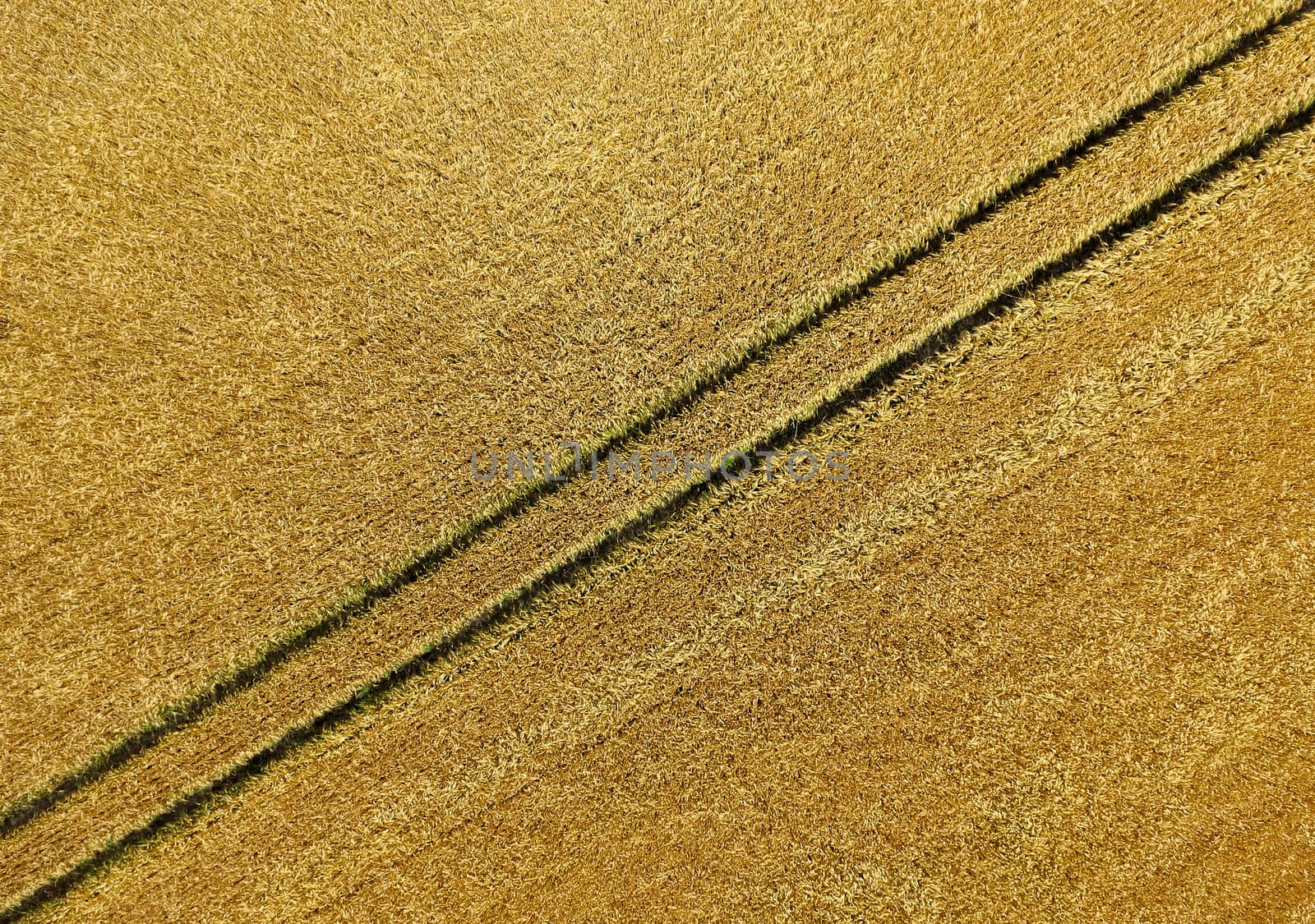 Yellow background from an aerial photo, abstract picture of a furrow in the field after the harvest