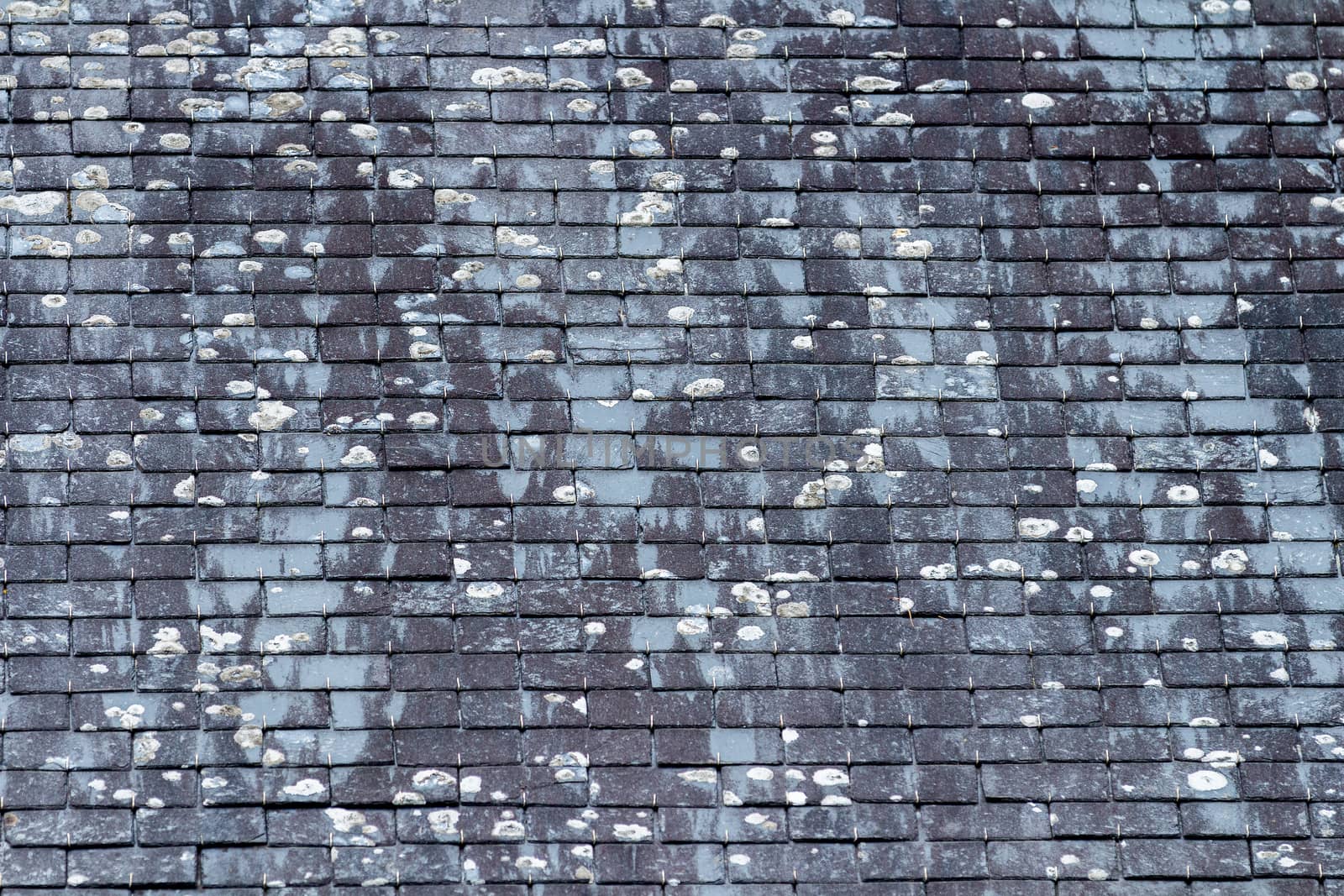 Background of old stone roof tiles