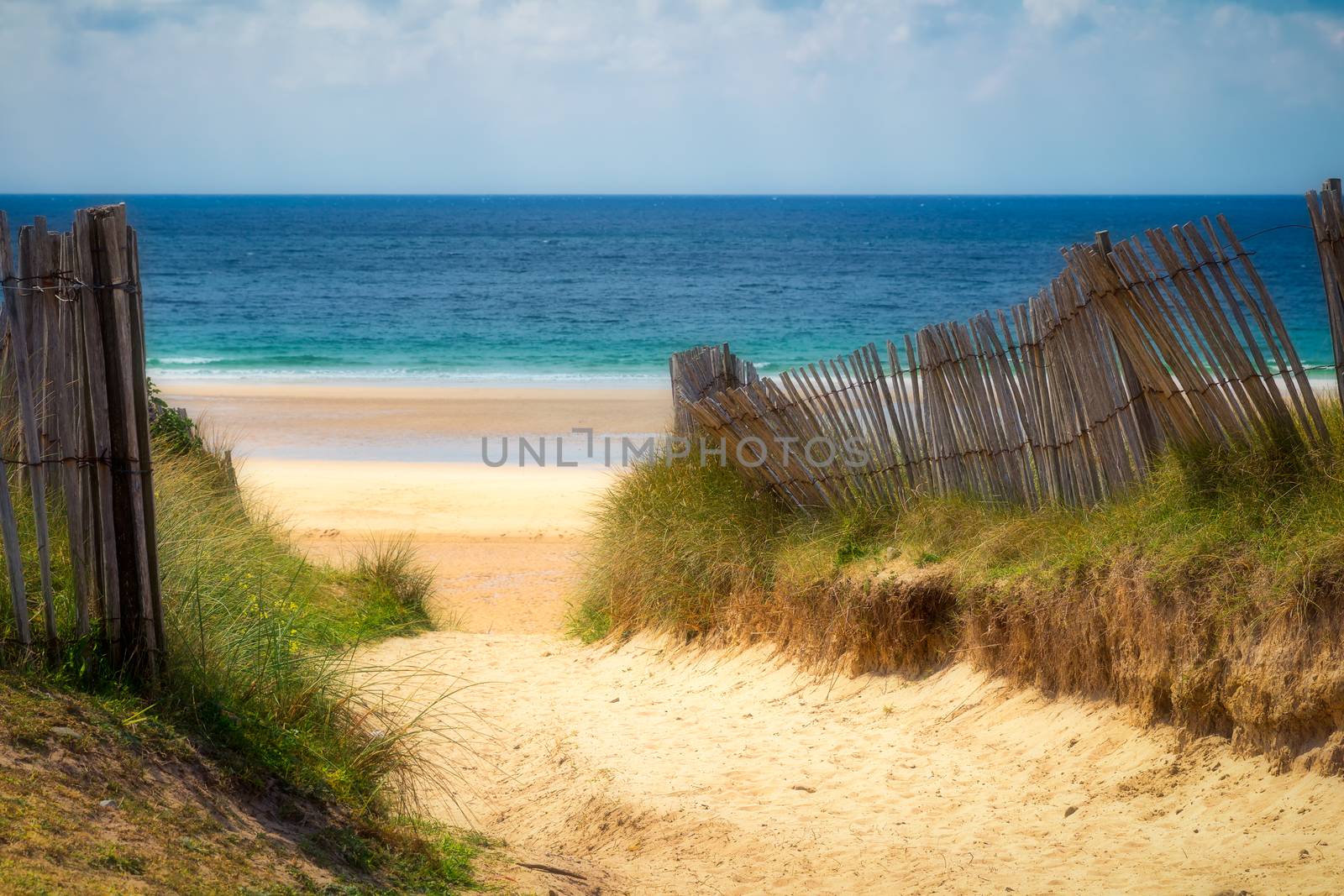 Path to sand beach with beachgrass. Way to the wide sandy beaches of the Atlantic.