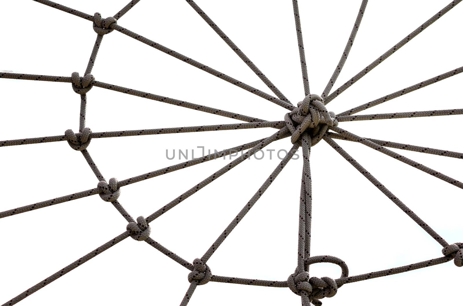 many ropes and one big knot black and white abstract background isolated close up
