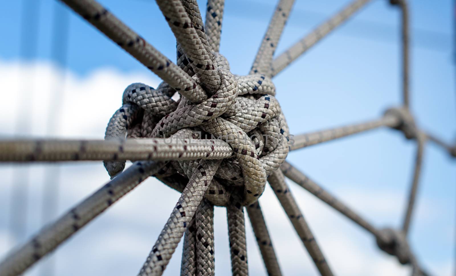 many ropes and one big knot black and white abstract background close up