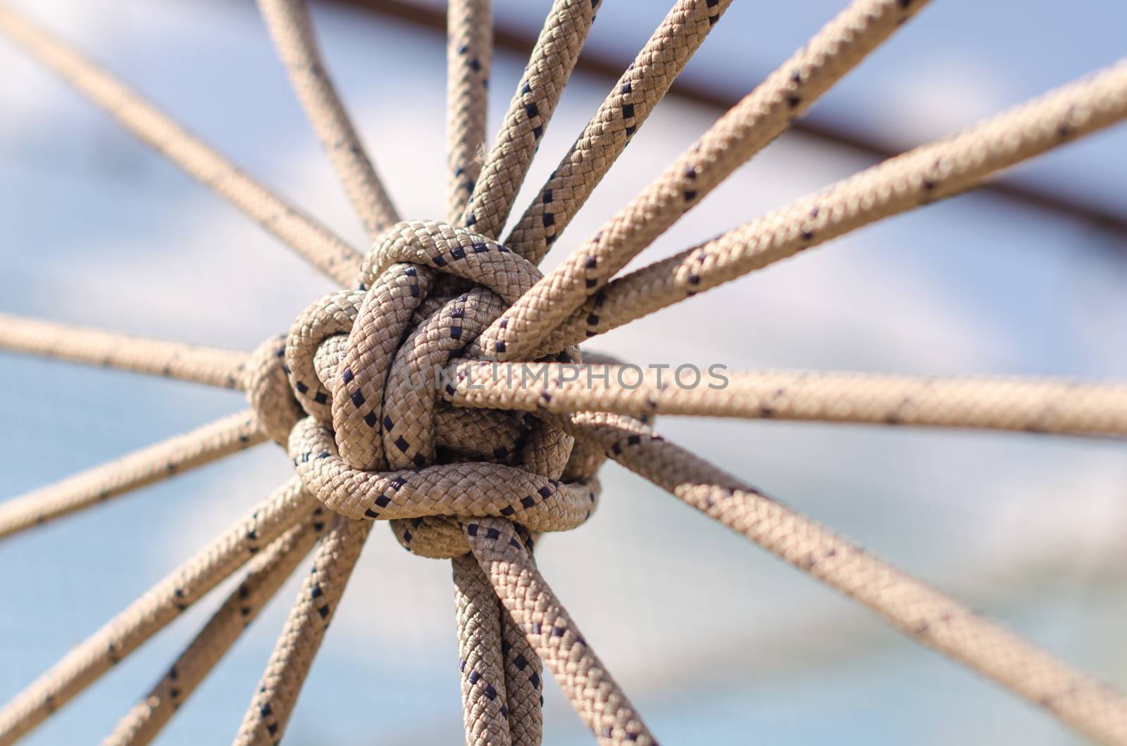 many ropes and one big knot black and white abstract background close up