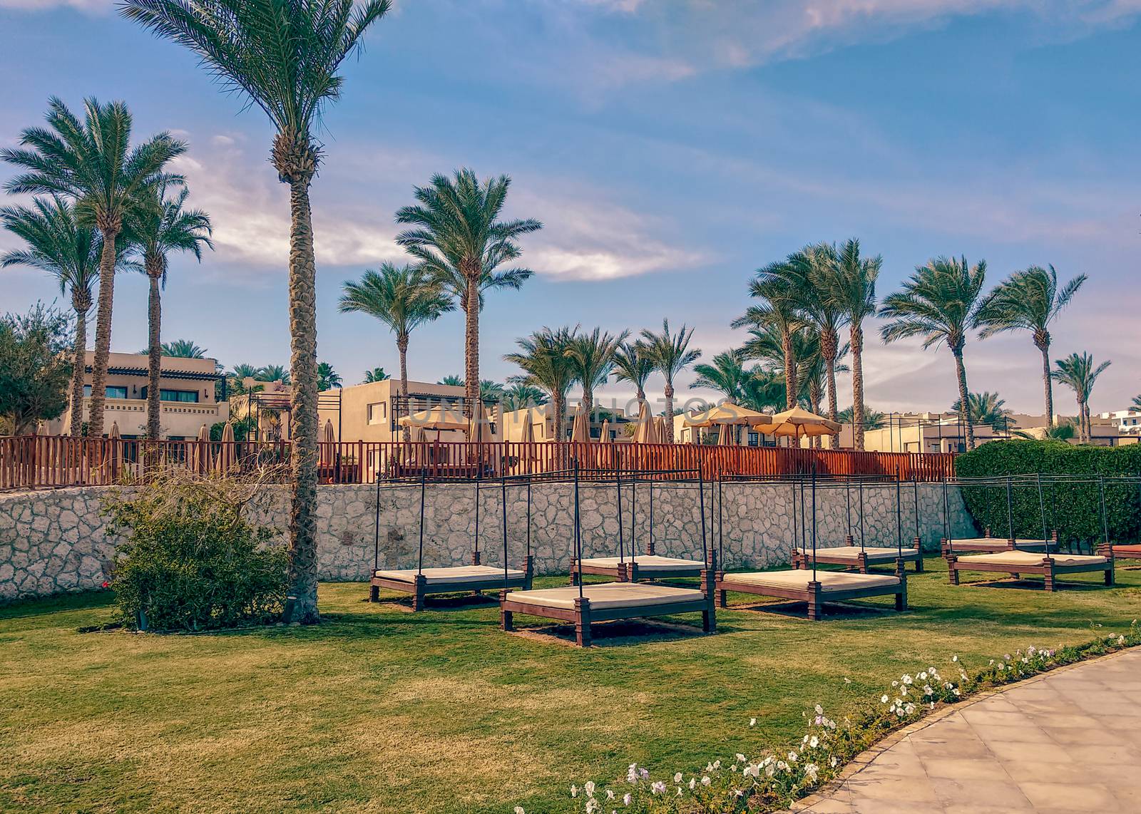 empty beach beds on green lawn of the coast of southern Sinai Egypt Sharm El Sheikh