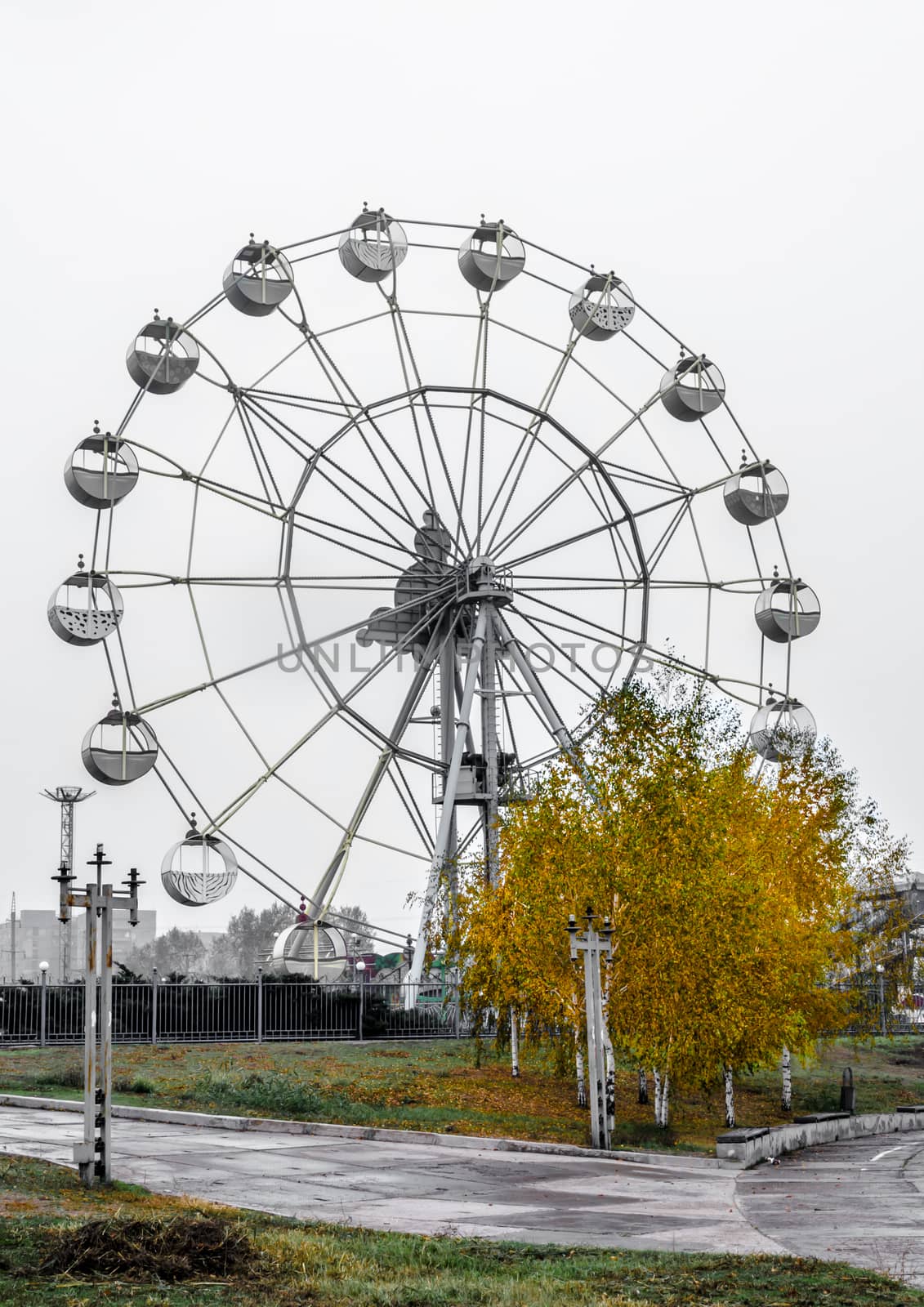 theme park Attraction Ferris wheel with bright yellow autumn tree against the gray sky