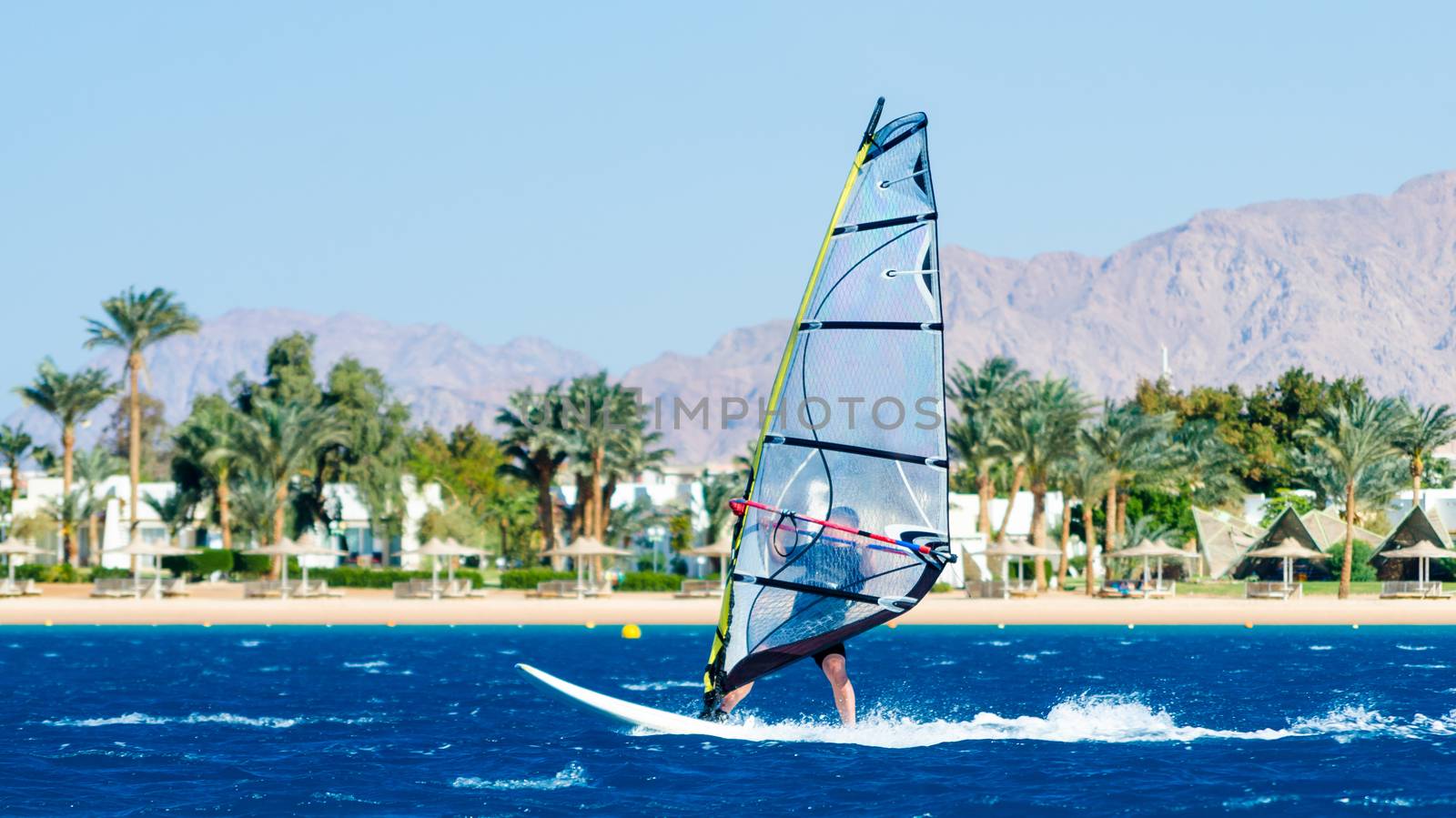 windsurfer rides on the waves of the Red Sea on the background of the beach with palm trees and high mountains in Egypt Dahab