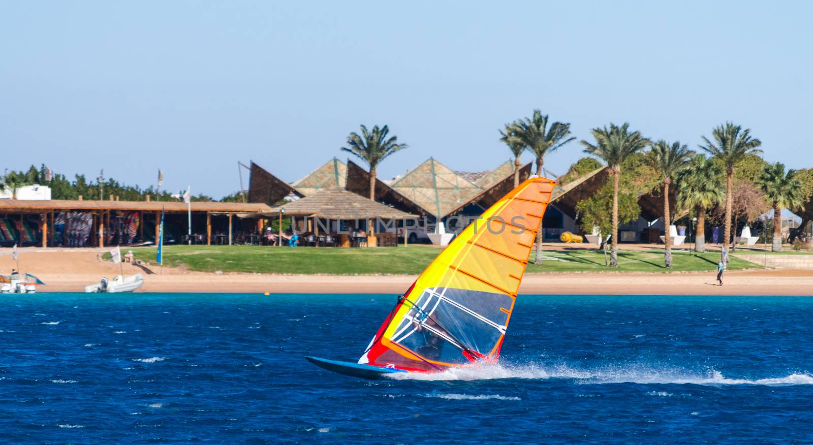 surfer rides in the sea on the background of the beach with palm trees in Egypt