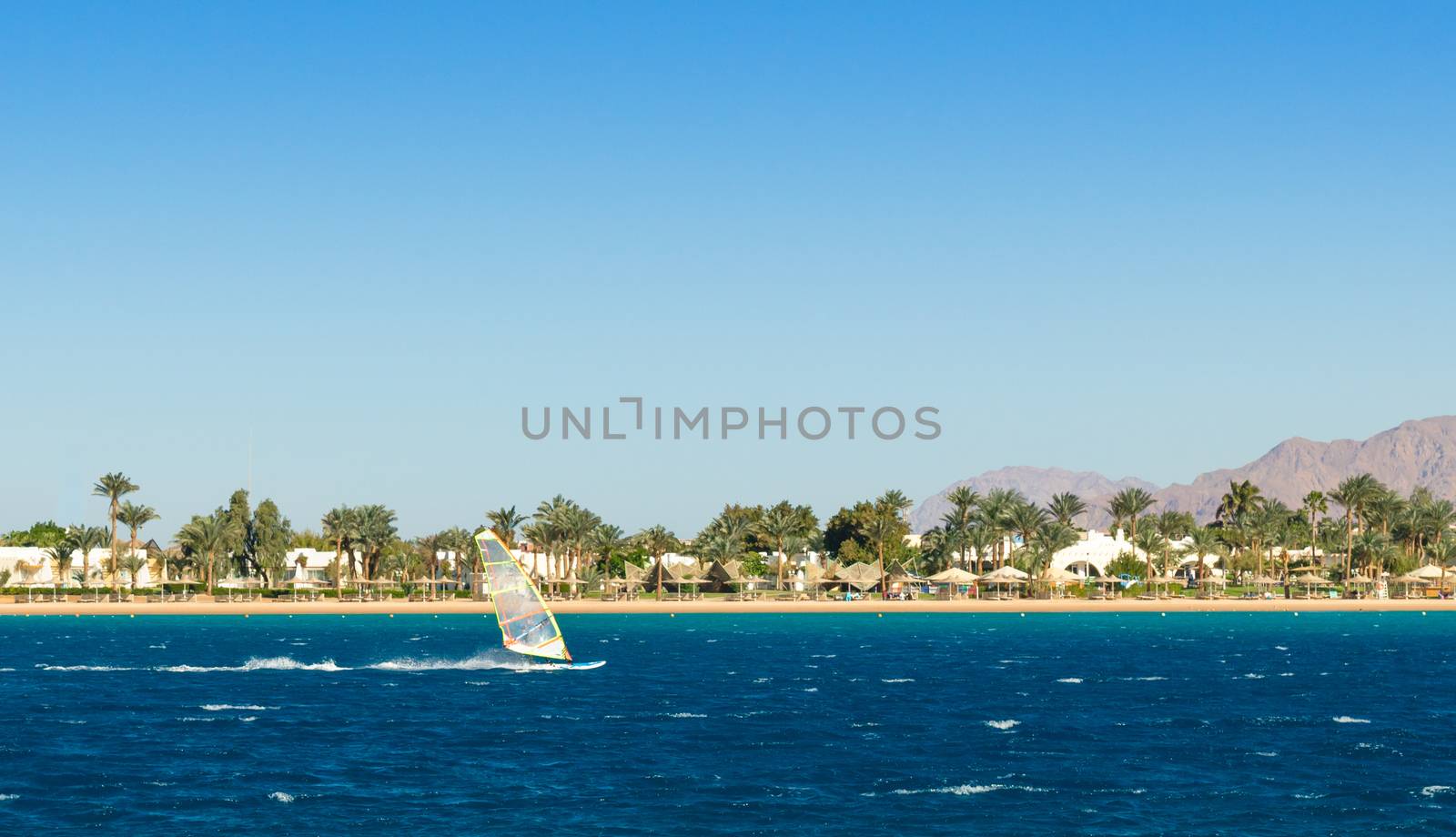 windsurfer rides on the background of the beach with palm trees and rocky mountains in Egypt Dahab