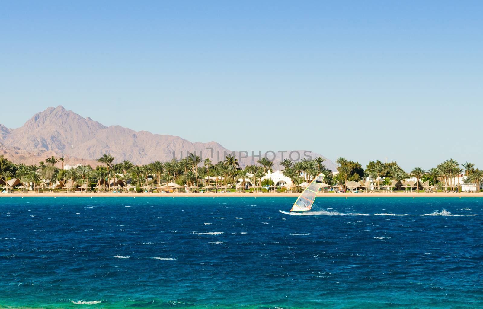windsurfer rides on the background of the beach with palm trees and rocky mountains in Egypt Dahab