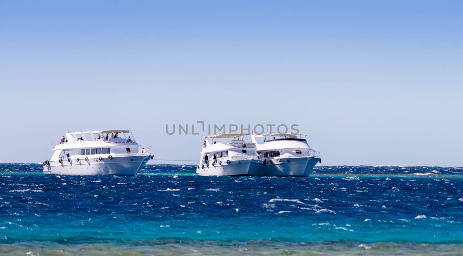 three white pleasure boat in the Red Sea