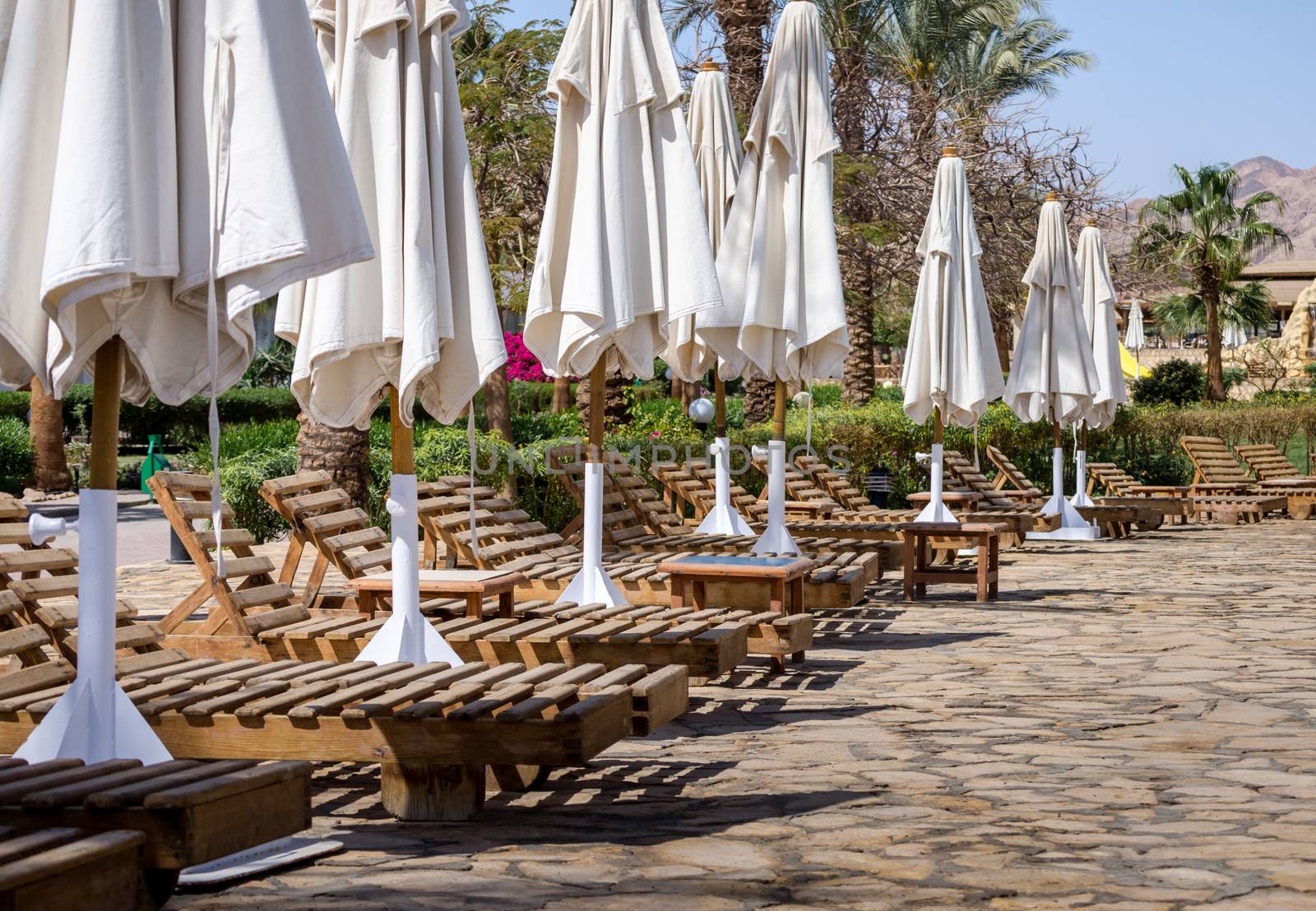 row of wooden shizlongov with folded white umbrellas with plants and palm trees