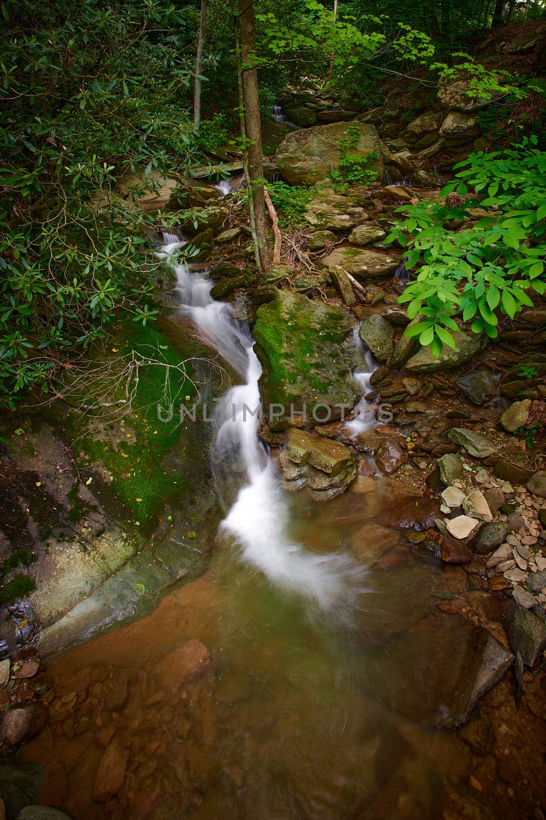 Small waterfall in Pisgah National Forest, NC. by patrickstock