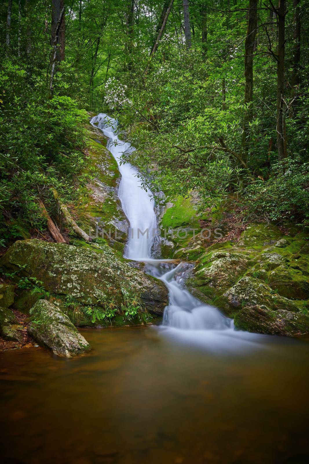 Ribbon waterfall in Pisgah National Forest, NC.