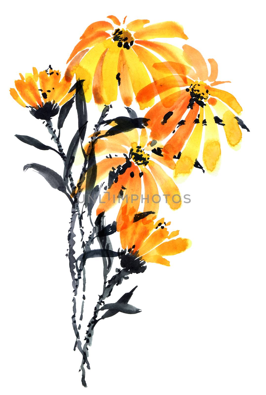 Botanical illustration of calendula bouquet - blossom meadow plant with orange flowers. Watercolor hand drawn painting.