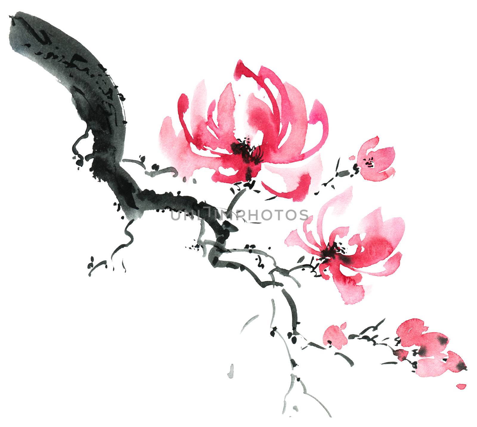 Watercolor and ink illustration of blossom tree with pink flowers. Oriental traditional painting in style sumi-e, u-sin and gohua.