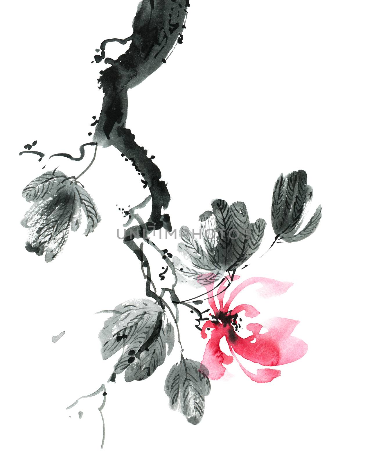 Watercolor and ink illustration of blossom tree with pink flowers and leaves. Oriental traditional painting in style sumi-e, u-sin and gohua.