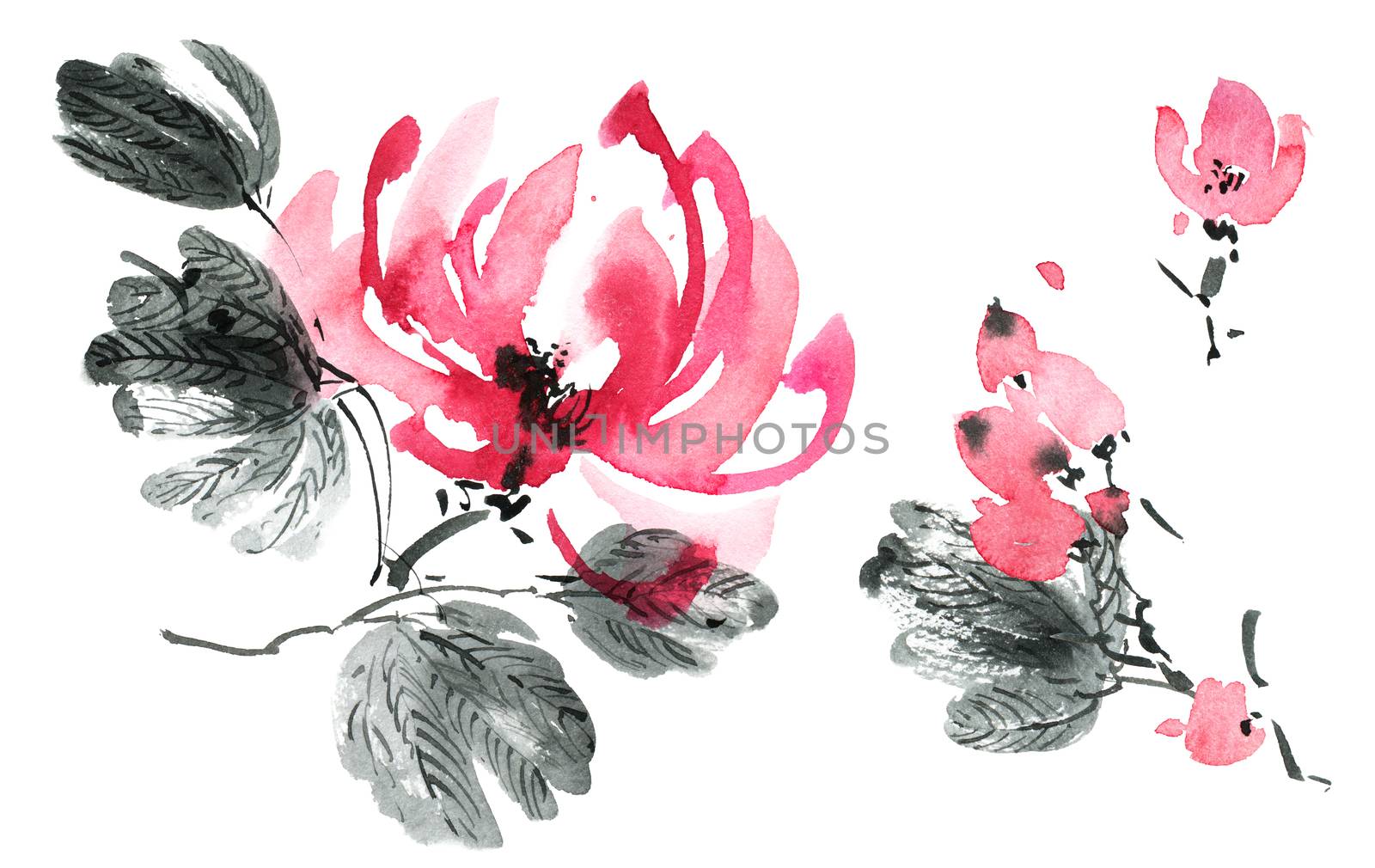 Watercolor and ink illustration of blossom tree with pink flowers and leaves. Oriental traditional painting in style sumi-e, u-sin and gohua.