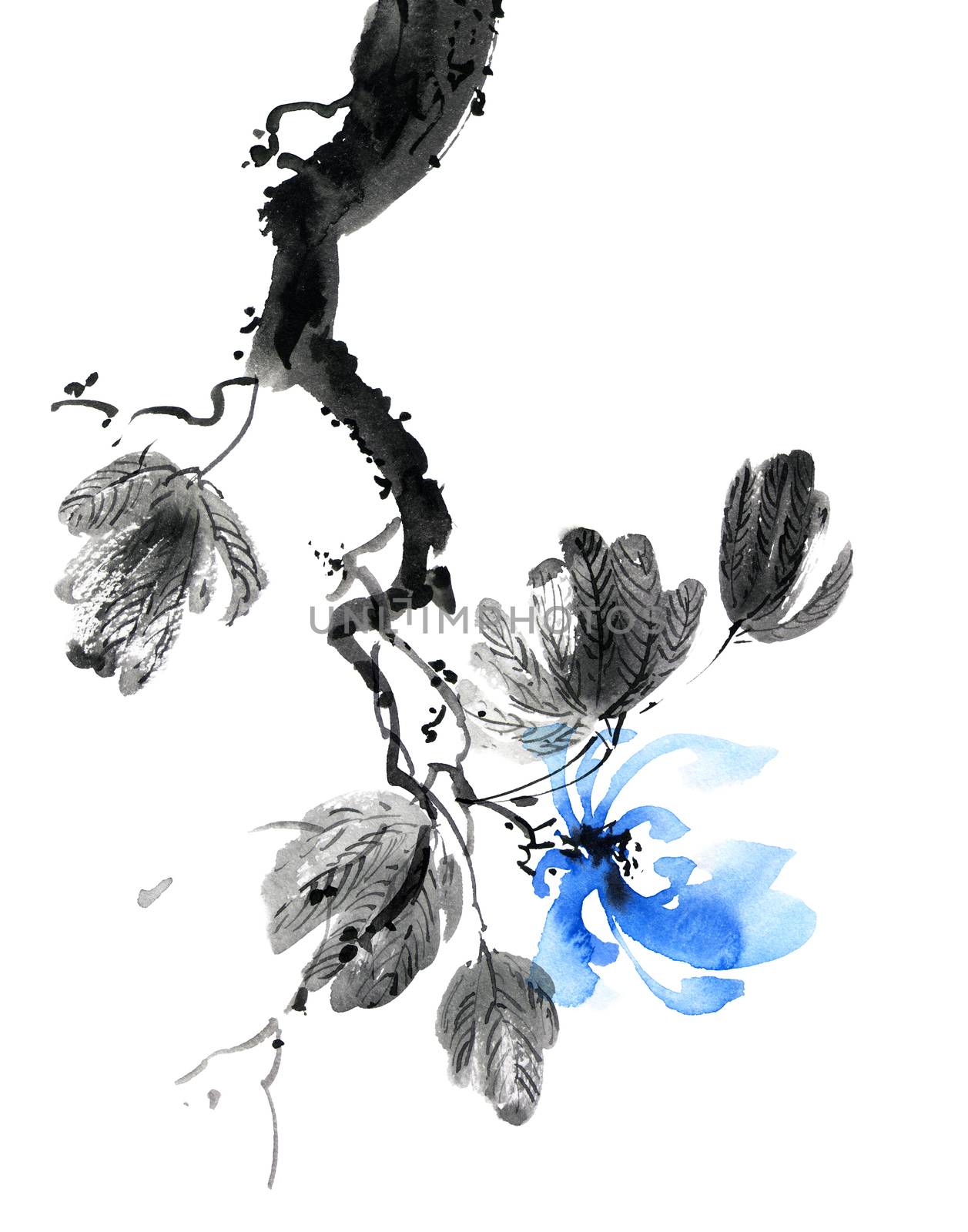 Watercolor and ink illustration of blossom tree with blue flowers and leaves. Oriental traditional painting in style sumi-e, u-sin and gohua.