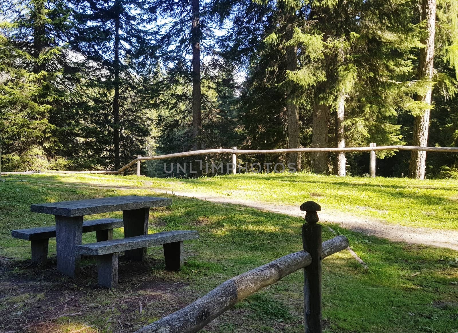 Picnic place in the forest