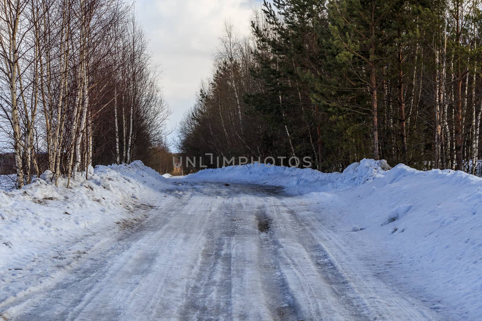 road covered with snow and ice in the forest on a sunny winter day