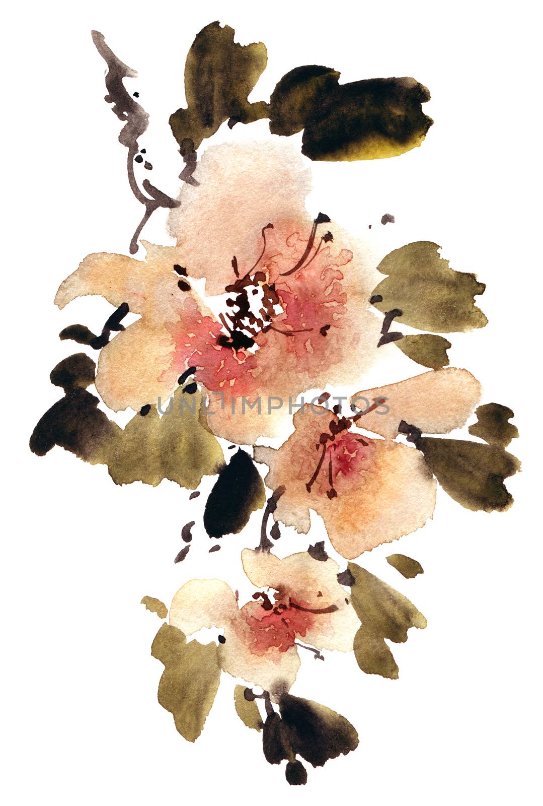 Watercolor and ink illustration of apple tree with flowers and leaves. Oriental traditional painting in style sumi-e, u-sin and gohua.