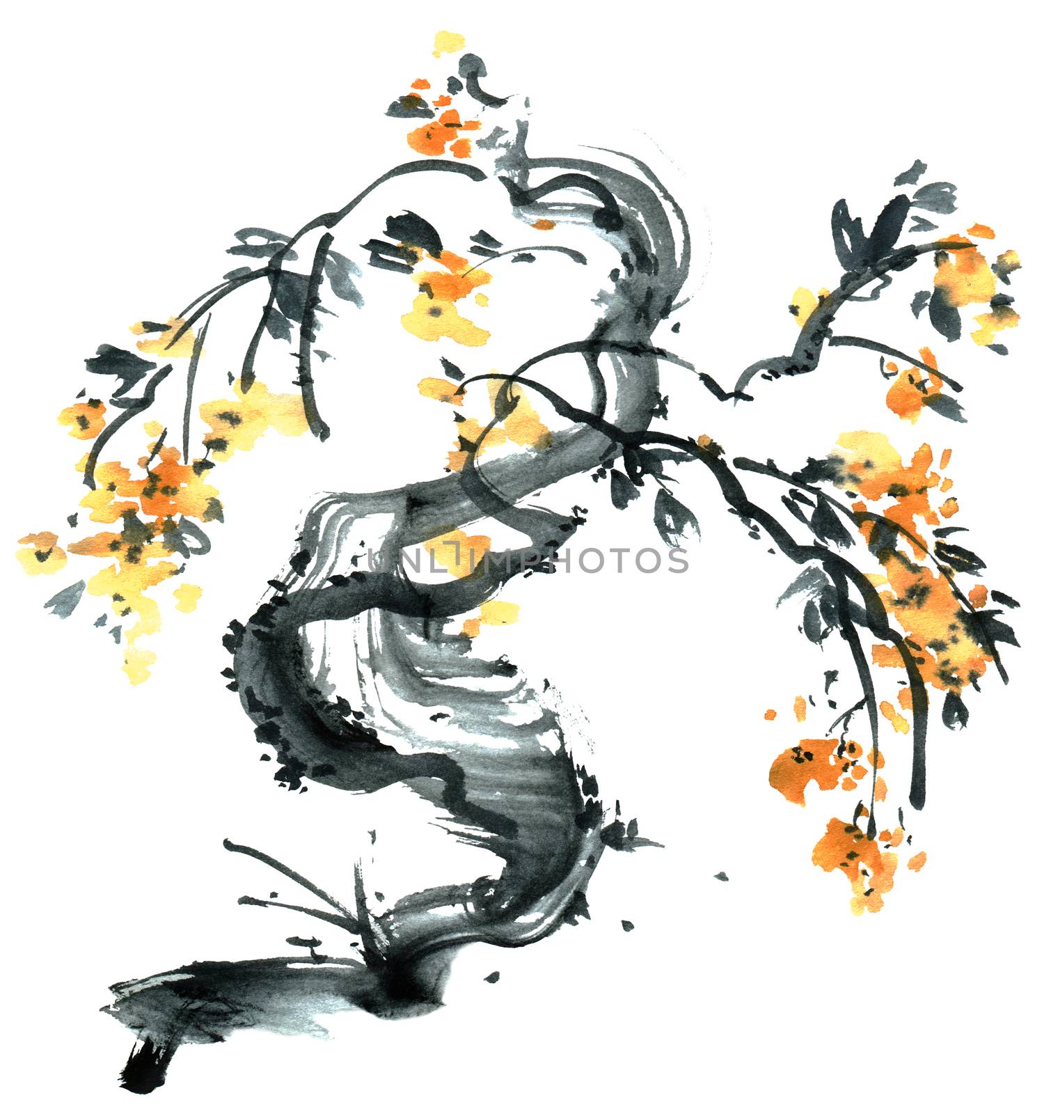 Watercolor and ink illustration of blossom plum tree with pink flowers on white background. Oriental traditional painting in style sumi-e, u-sin.