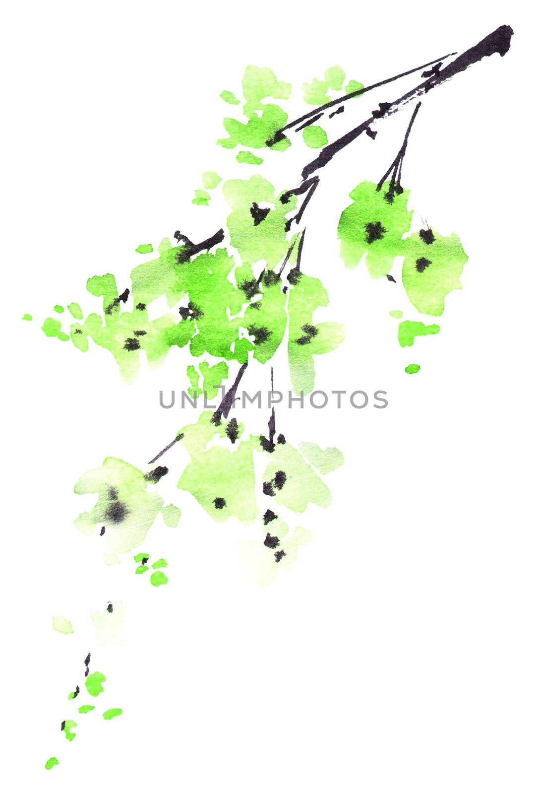 Watercolor and ink illustration of tree branch with green leaves on white background. Oriental traditional painting in style sumi-e, u-sin.