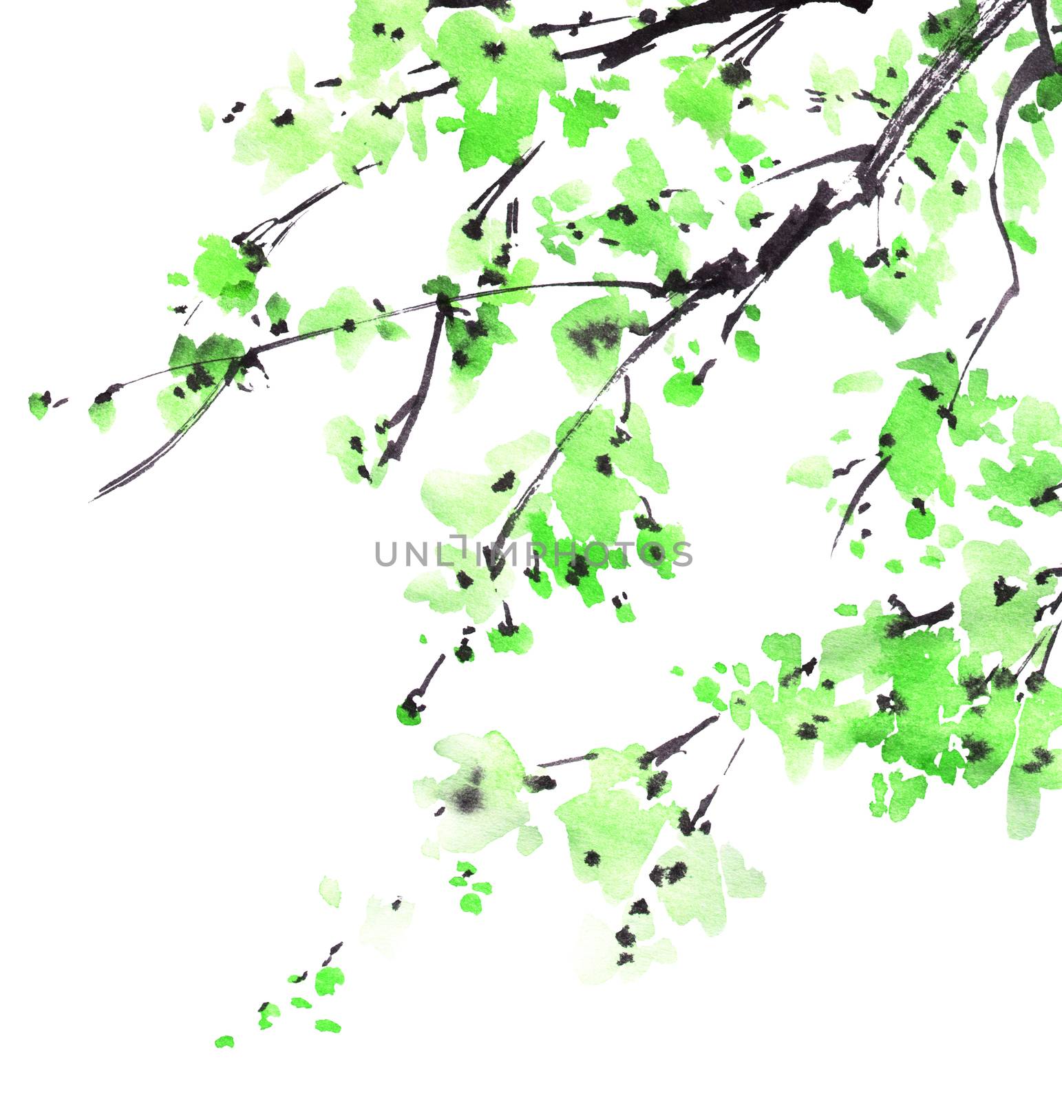 Watercolor and ink illustration of tree branch with green leaves on white background. Oriental traditional painting in style sumi-e, u-sin.